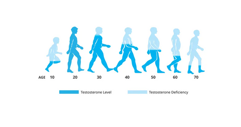 Testosterone: The Hormone Behind Masculinity and Overall Health