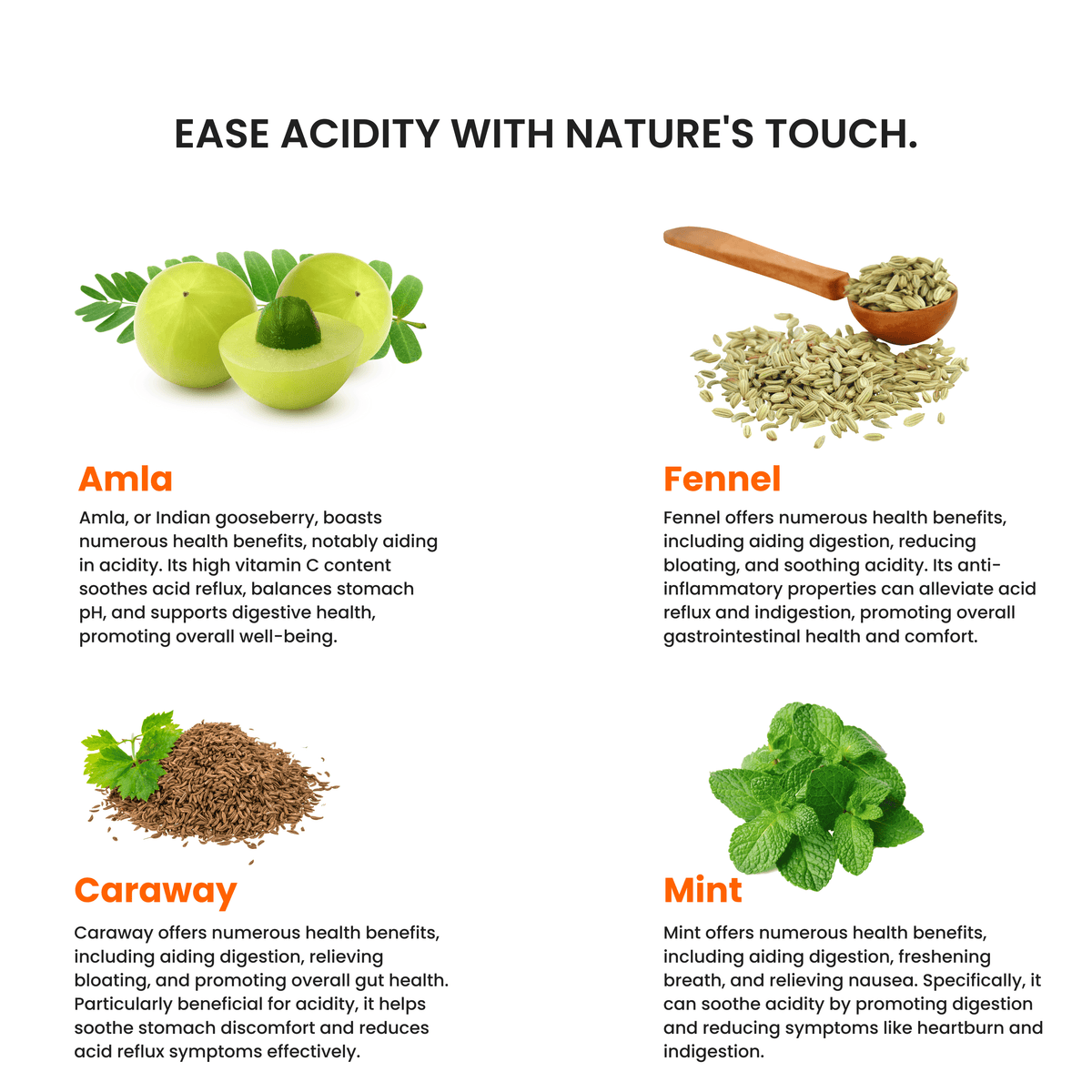 Acidity Relief (10 Slips) image 3