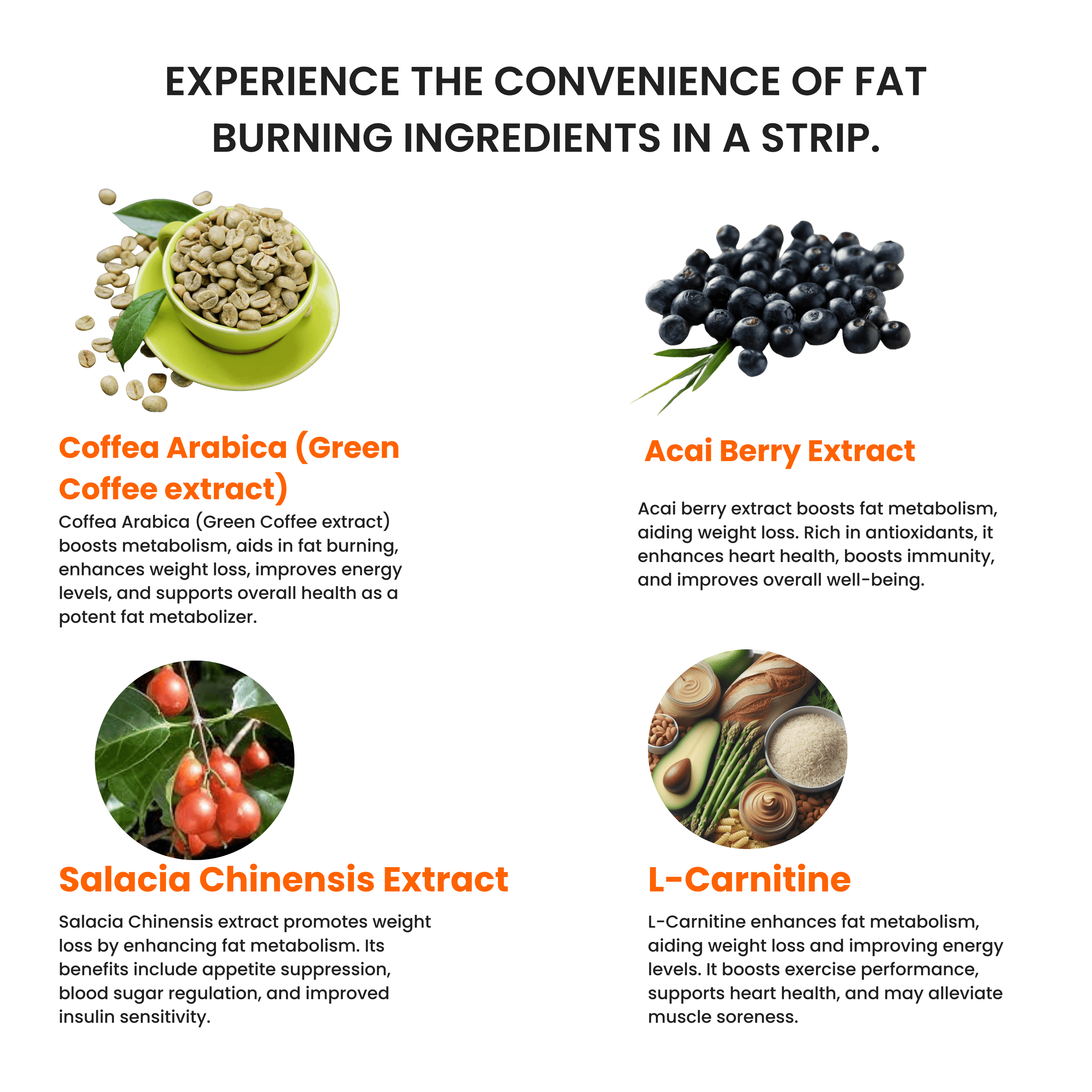 Fat Metabolizer (30 Slips) image 2
