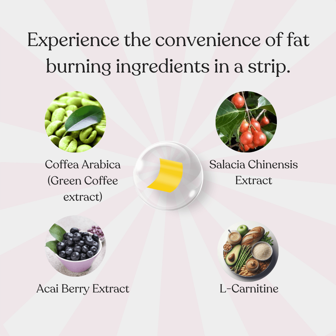 COMBO: FAT Metaboliser + Multivitamin+ Happy Gut Pack image 2