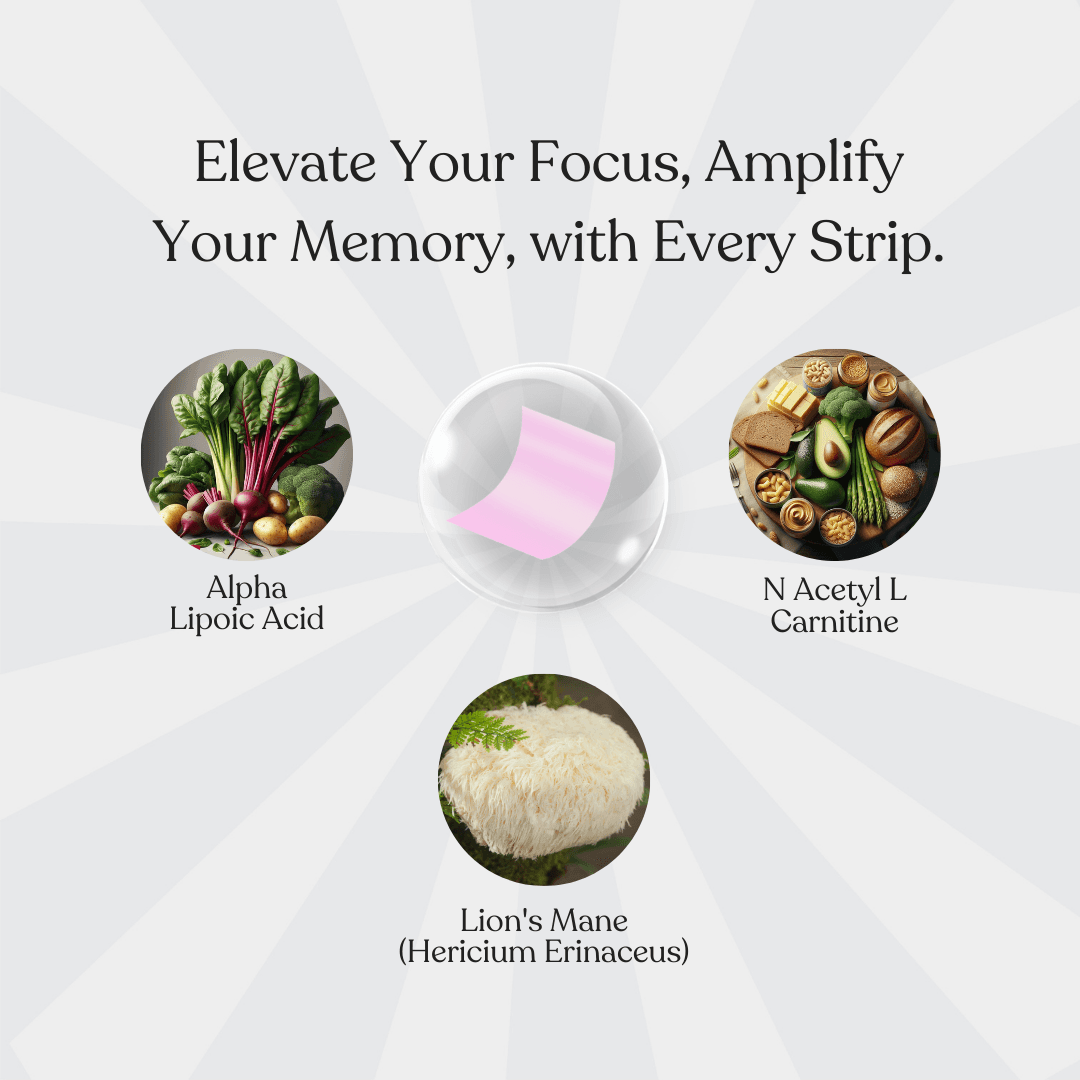 COMBO: Focus+ Cellular Detox + Enriched Sleep Pack image 2