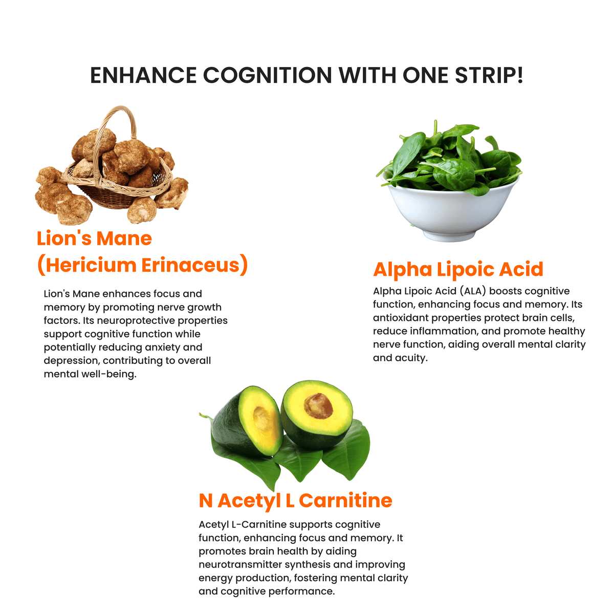 COMBO: Focus+ Vitamin D3, B12 + Acidity Relief Pack image 2