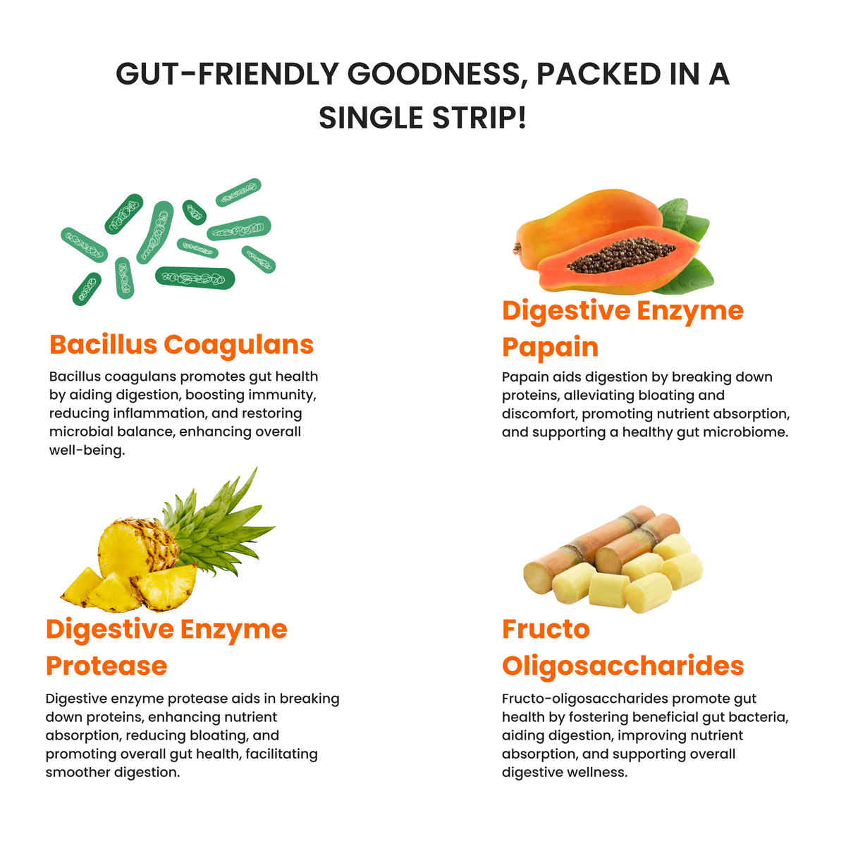 Happy Gut (30 Slips) image 3